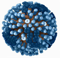Clinical protocol: MAHAN RSV study, 26.1.26 (PDF)